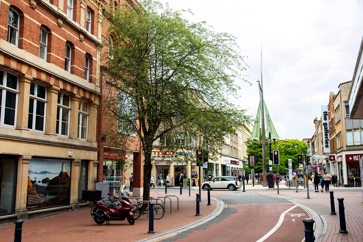 Green tree with Broadmead shopping area in the distance