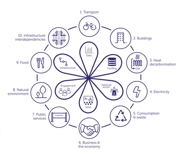 Sustainability infographic