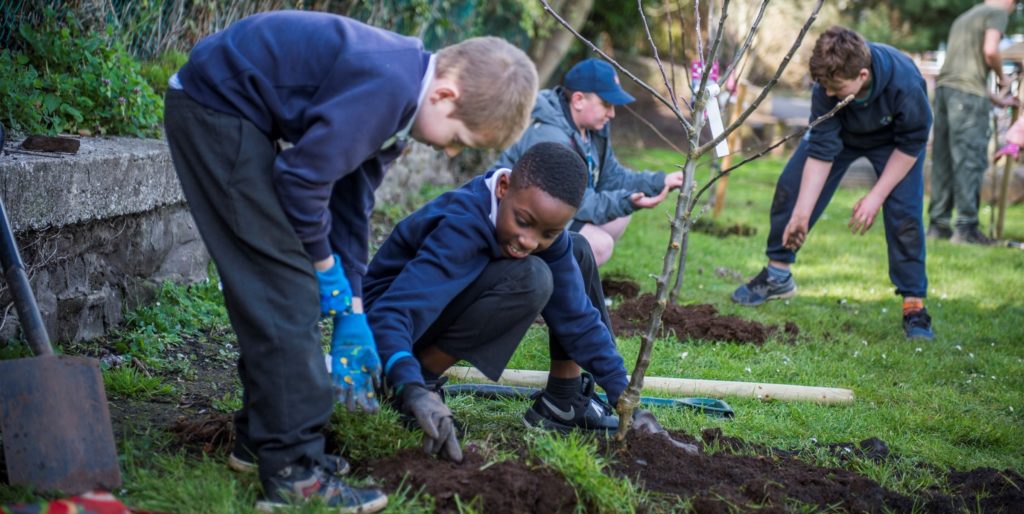 WPD Lady of our Lord School tree planting by pupils 9th March 2019