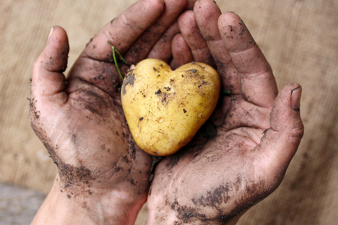 Image of a heart shaped covered in soil in hands